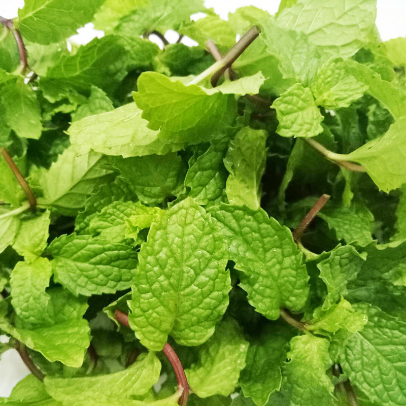 薄荷新鲜摆盘装饰荷叶可食用蛋糕烘焙香料调酒其它