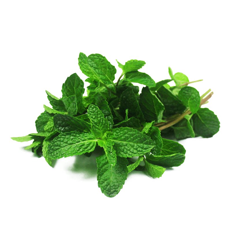 薄荷叶新鲜食用蔬菜清凉薄荷叶调酒泡茶香料调料西餐250g