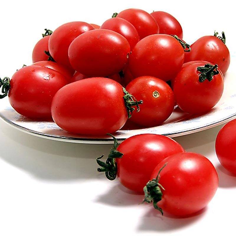 西红柿樱桃新鲜小西番茄水果柿子红色圣女果500g番茄