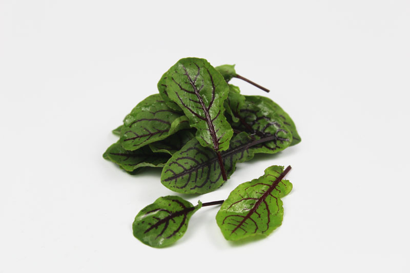 新鲜酸模叶红酸膜草西餐摆盘用嫩叶双膜叶约50片盒