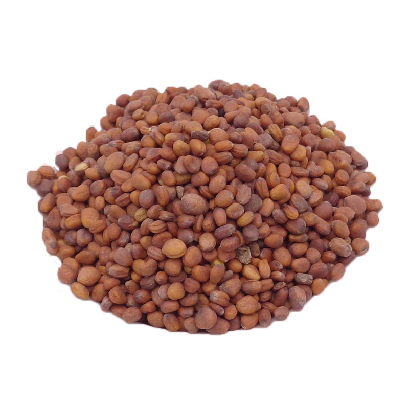 中药材 野生莱菔子 白萝卜籽茶 萝卜子粉 另有炒莱菔子 500克包邮