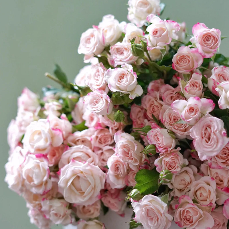 多头玫瑰蔷薇鲜花云南南昆明基地直速递同城鲜花速递同城