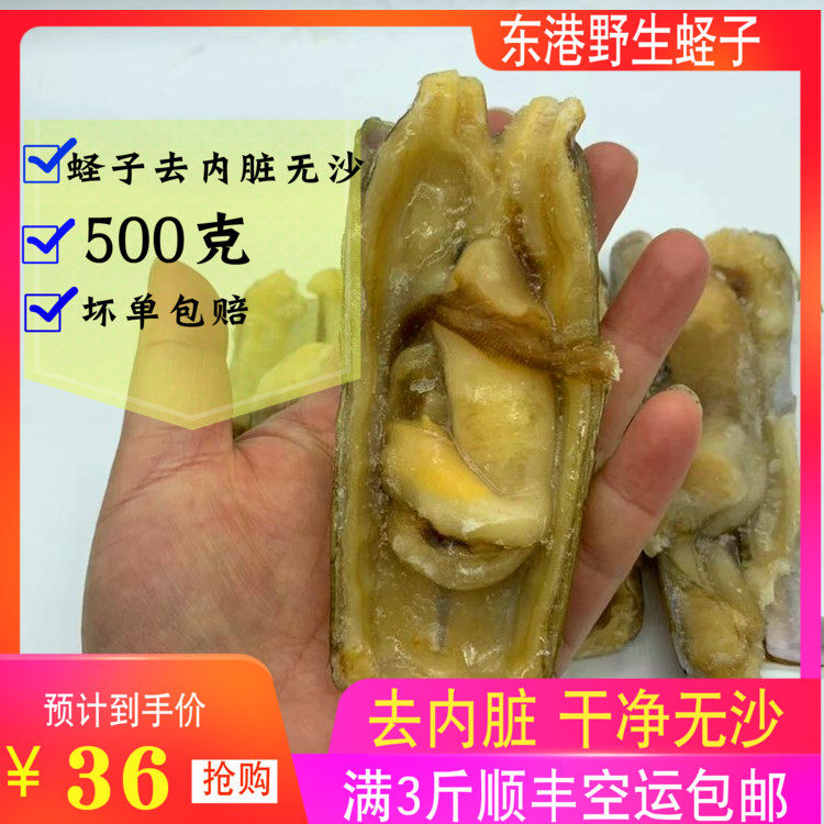 速冻内脏干净无沙带壳鲜活竹节王粉丝粉丝蒜蓉蛏子