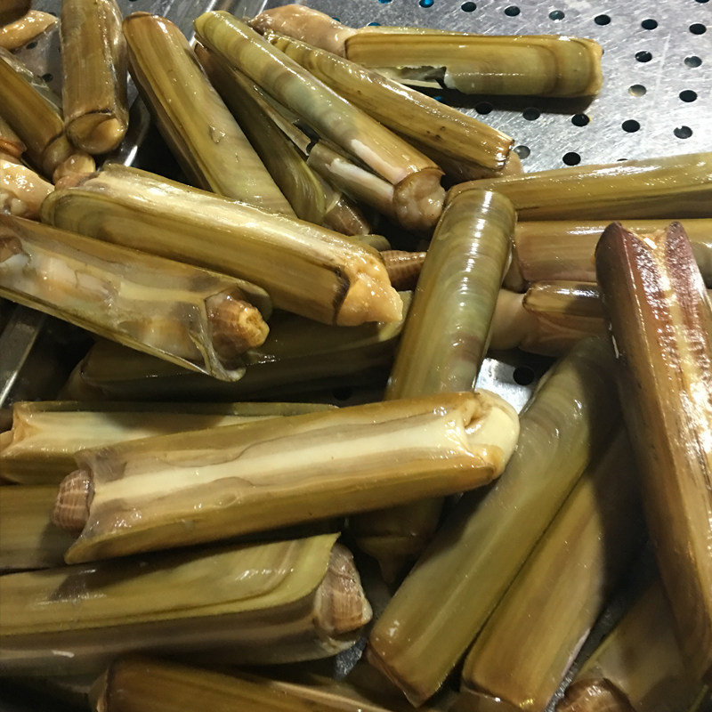 鲜活速冻竹节蛏竹蛏手指蛏竹蛏王大蛏子小人
