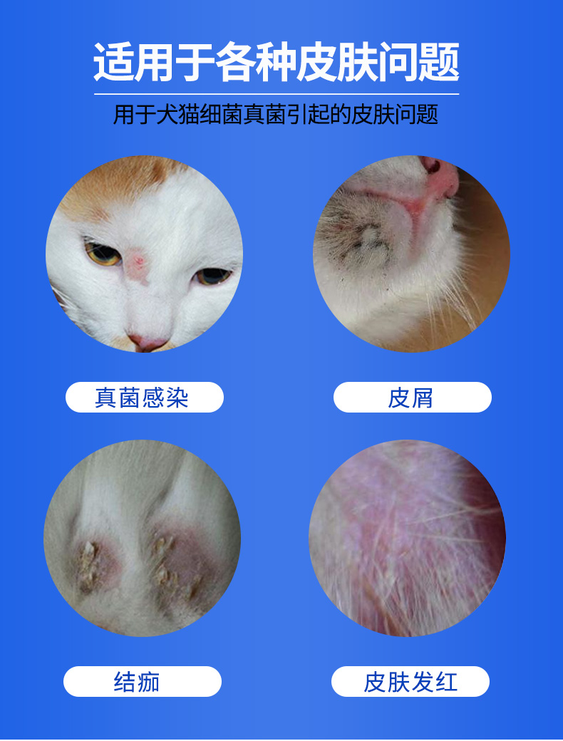 金盾外用宠物猫藓猫癣药膏皮肤病消炎螨虫真菌猫驱虫药