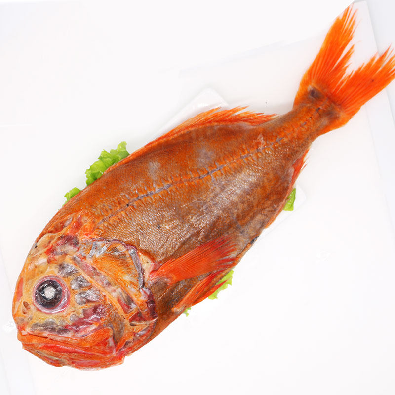 聚福鲜 新西兰橙棘鲷鱼2斤-2.5斤新鲜长寿鱼进口海鲜水产长寿鱼