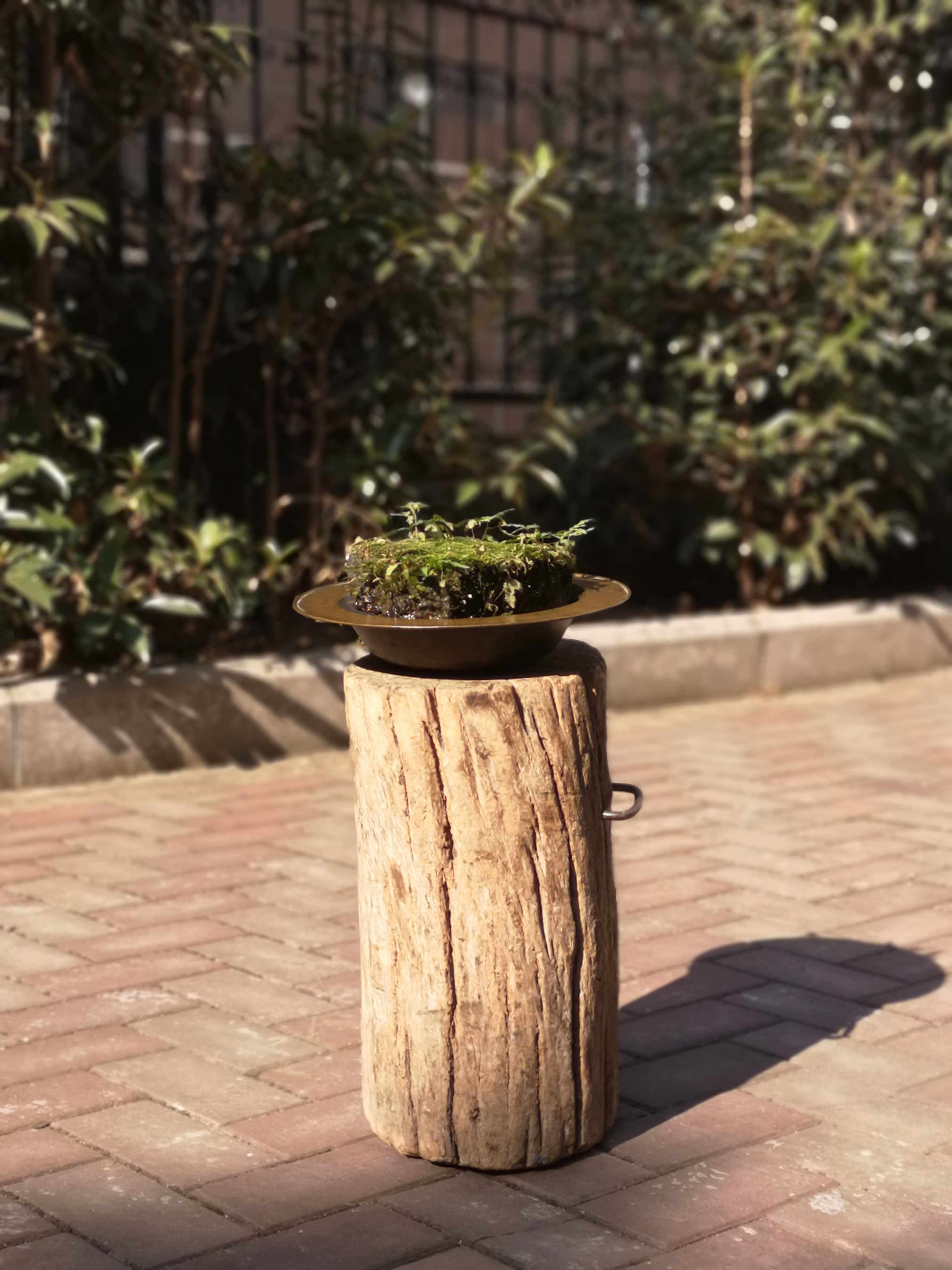 江南木木自然原木墩座花承几老物件古董艺术空间摆件