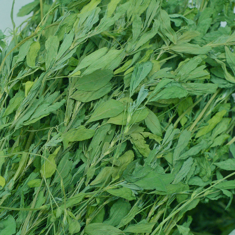 苜蓿草2019新草紫花苜蓿干草兔粮龙猫荷兰猪兔草豚鼠粮饲料1kg