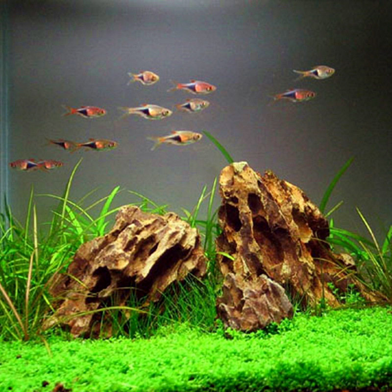 天然鱼缸造景景石松皮石多孔水草缸盆盆景假山造景