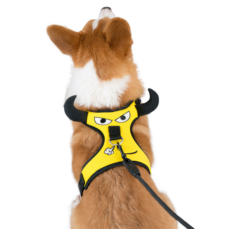 背带狗狗牵引绳狗可爱背心外出柯基遛狗小型家用牵引带