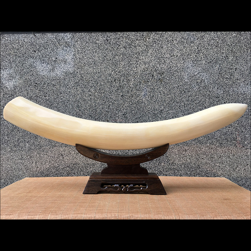 猛犸猛犸象象牙摆件原牙剥皮牙冰料素牙尖摆件