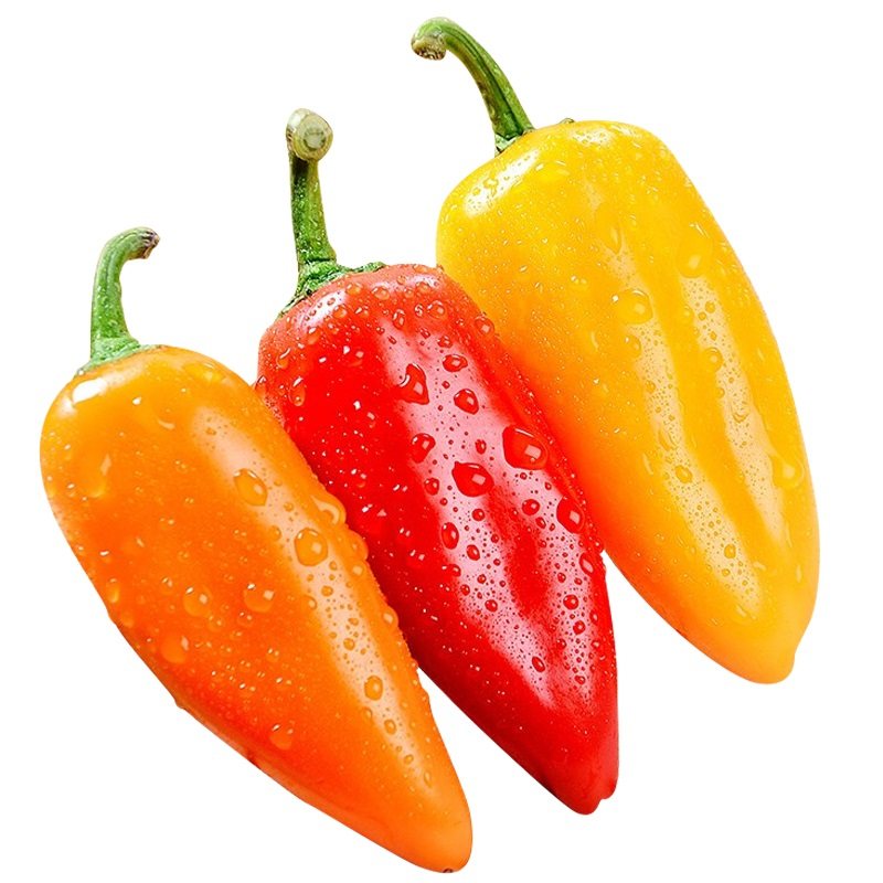水果小辣椒种子超甜彩椒南方生食春秋四季阳台家庭园艺种子