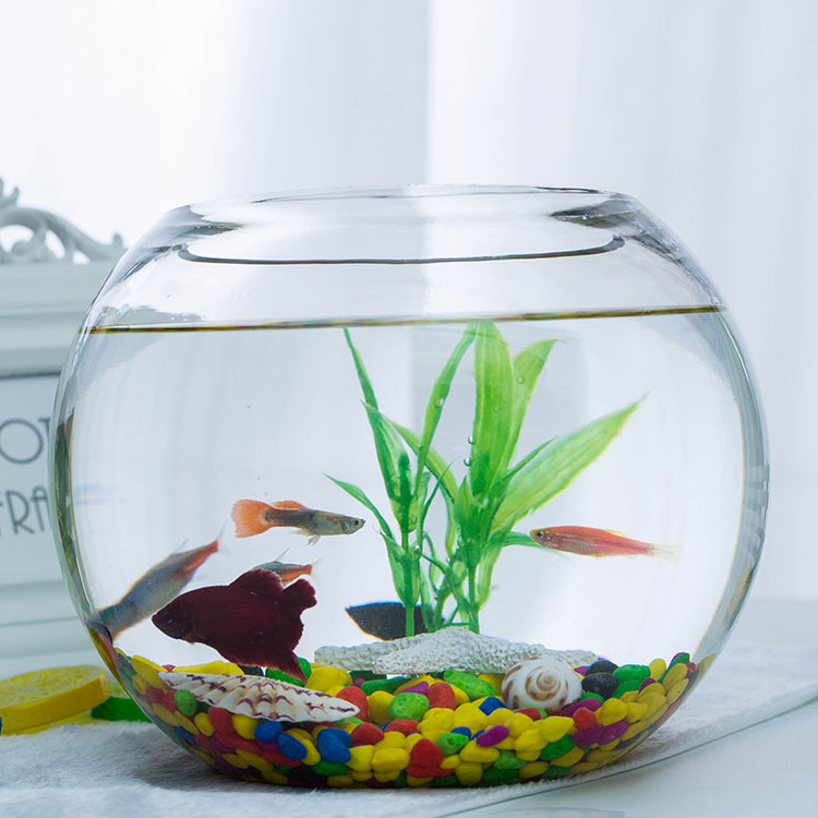 圆形小鱼缸造景水族箱金鱼缸玻璃生态开放式办公桌面鱼缸水培器皿