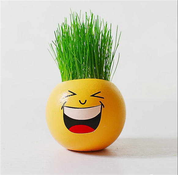 创意迷你植物小盆栽草头娃公司活动礼品幼儿园奖品一元左右小礼物