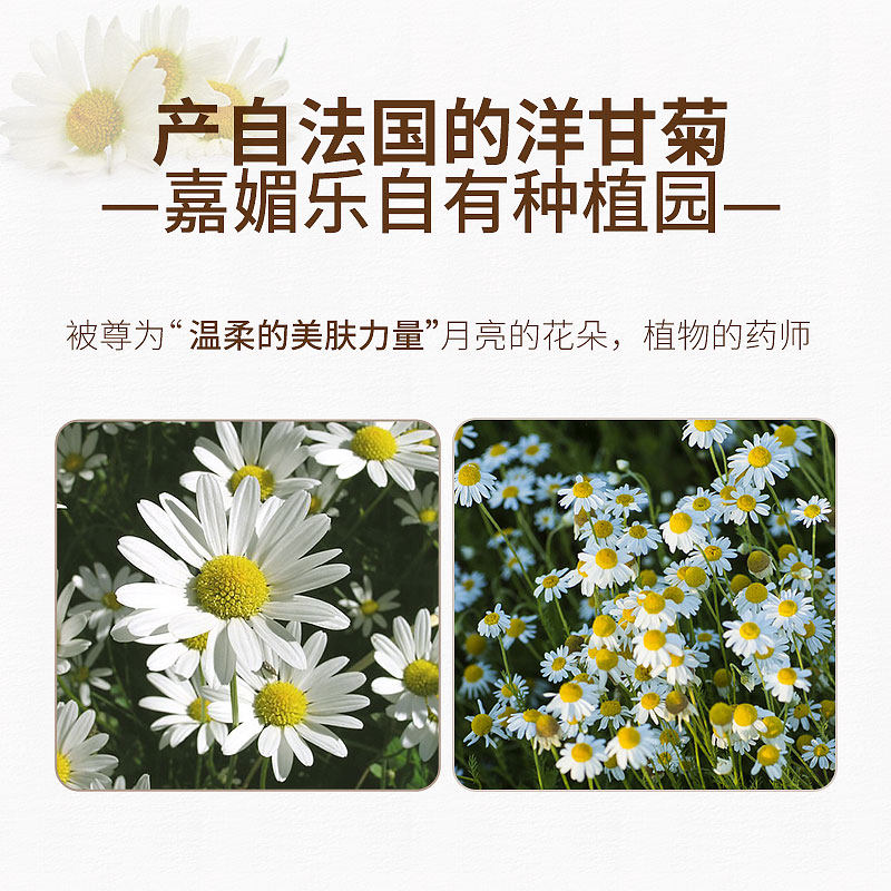 嘉媚乐洋甘菊精油10ml单方精油调配舒缓补水修护