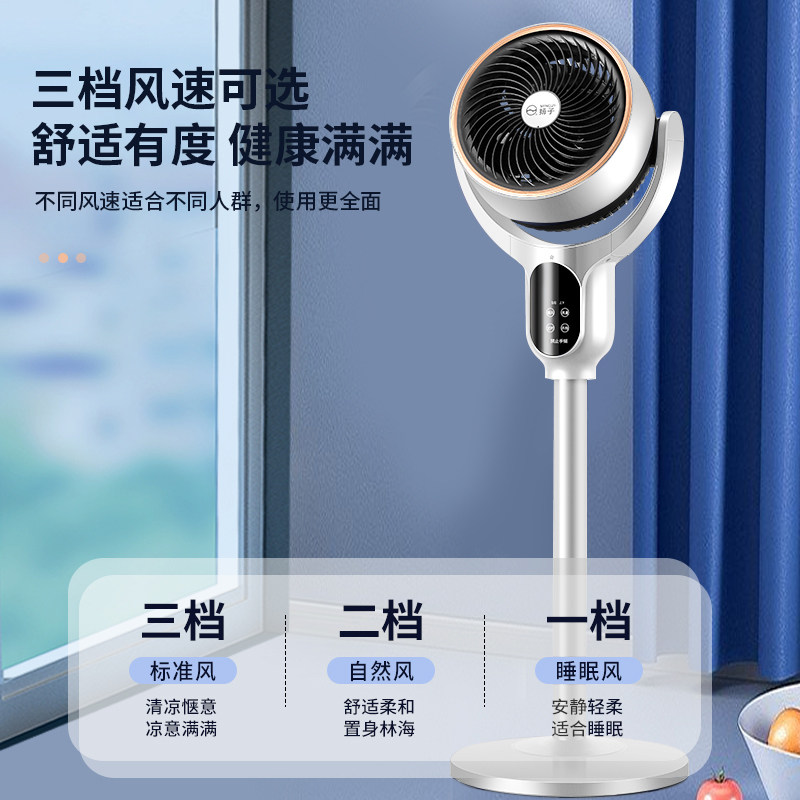 扬子语音空气循环扇台立两用定时落地扇家用遥控学生静音电风扇大