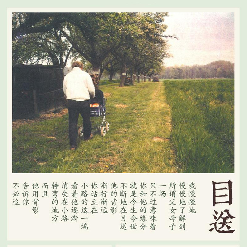 【新华书店旗舰店官网】目送 龙应台 彩色插图 人生三书中国现当代