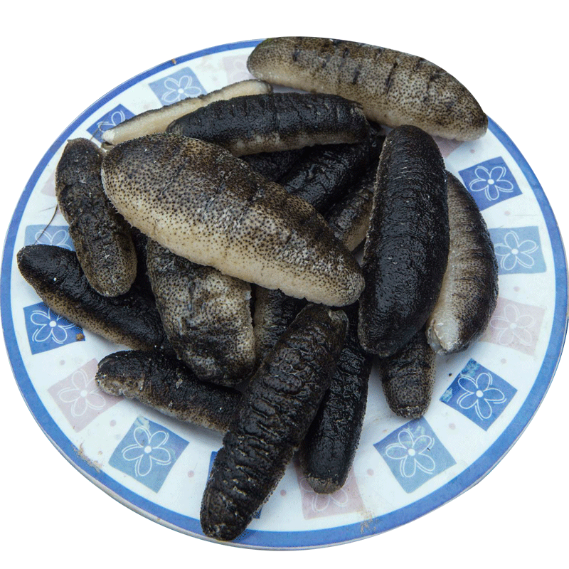 新鲜深海大乌参海参500g即食海参免泡发海参非淡干海参礼盒小包装