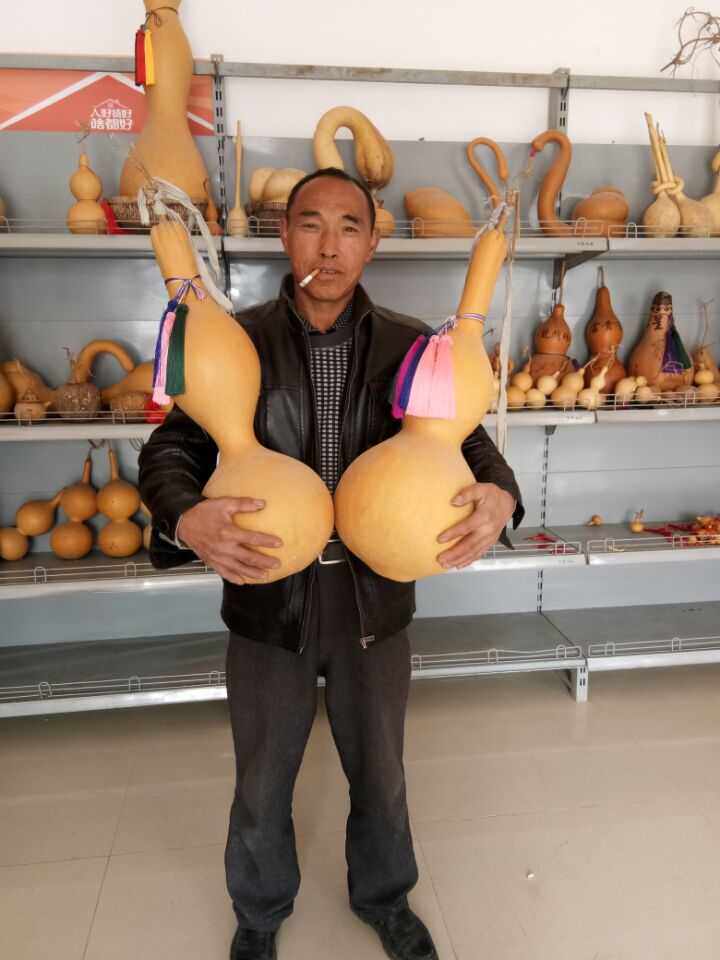 葫芦种子特大亚腰葫芦种籽包邮巨型葫芦子摆件风水挂件文玩葫芦子