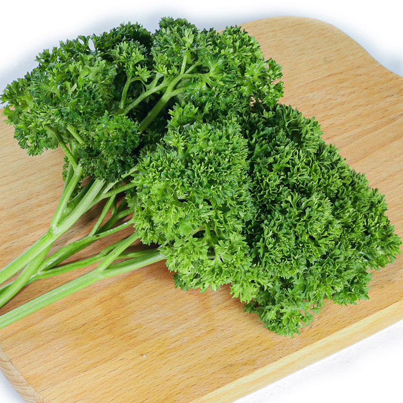 新鲜蔬菜荷兰芹番香菜点缀法国香芹沙拉西餐其它