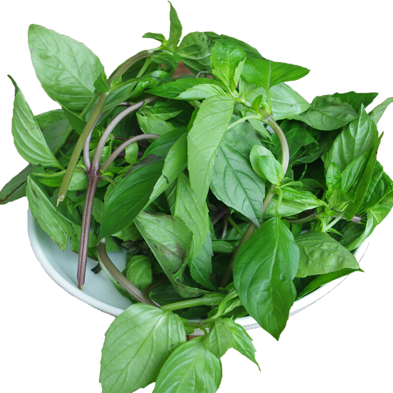 新鲜蔬菜九层塔金不换香草摆盘沙拉西餐配菜250g其它