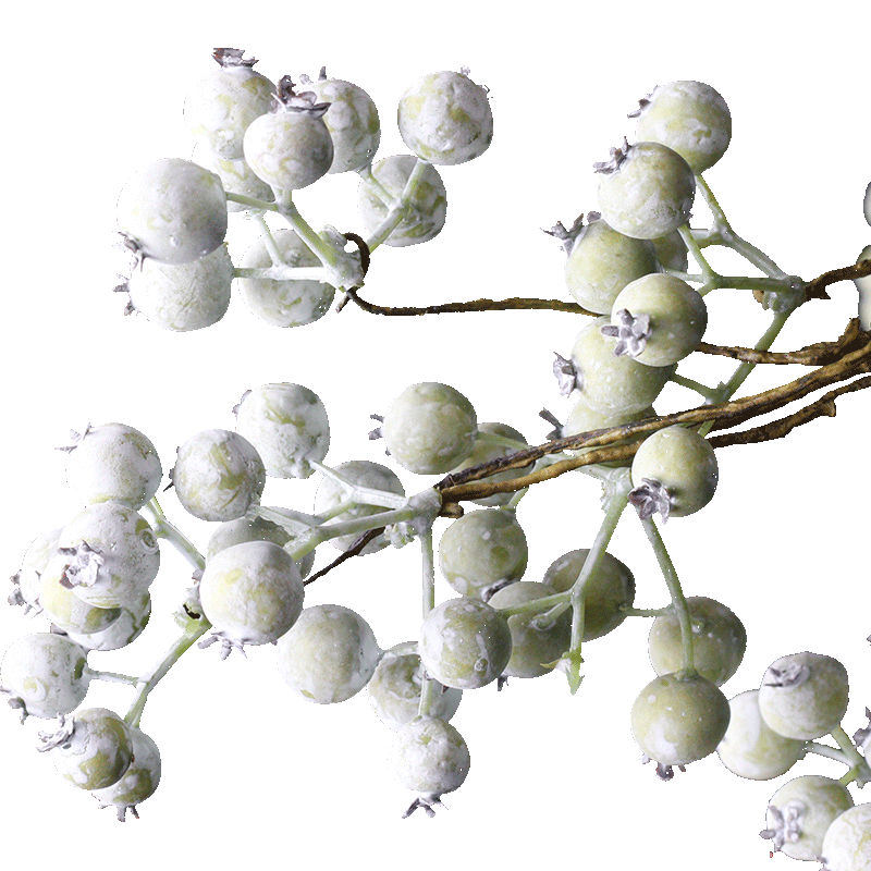 仿真白色浆果马桑果桑果圣诞摄影家居装饰摆件仿真花