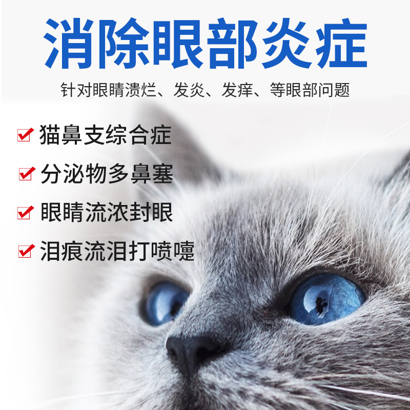 卜尼猫咪眼药水猫滴眼液氯霉素眼药鼻支眼睛发炎猫眼