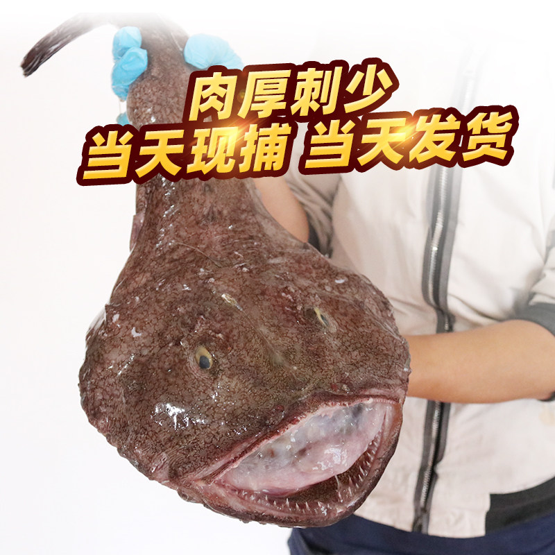 大安安康新鲜带肝带肚青岛蛤蟆大嘴鱼老头冷冻其它