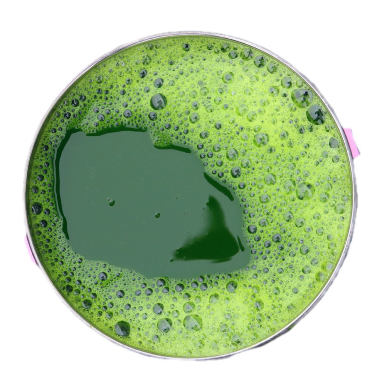 青汁专用麦苗500ml新鲜艾草青苗麦草汁青团原料青汁