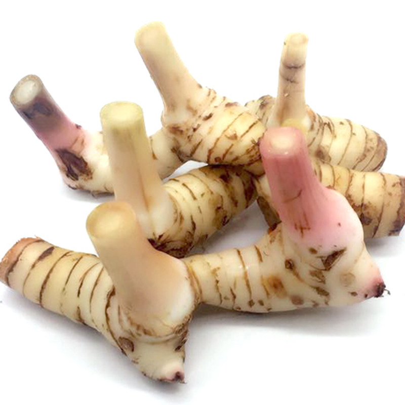 新鲜柠檬香料香茅南姜叶柠檬冬阴汤料火锅锅底其它