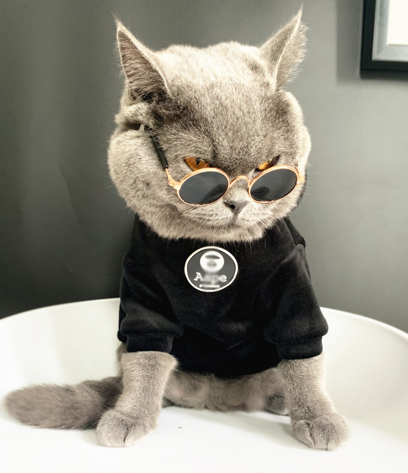 衣服潮牌猫咪狗狗宠物服装英短蓝猫秋冬季双面狗宠物服装