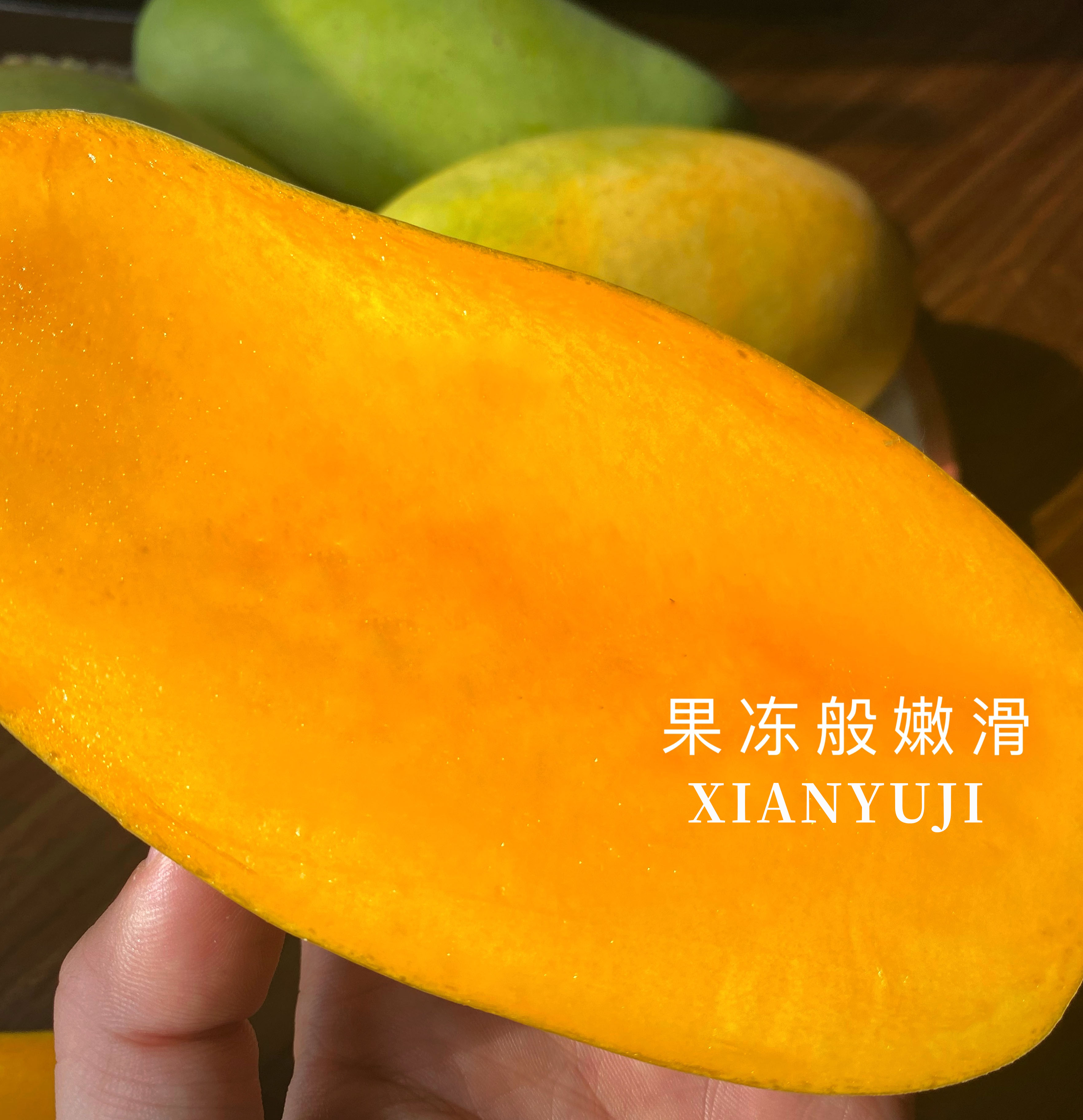 攀枝花农科所研制攀研2号新鲜芒果肉厚无丝细腻芒果