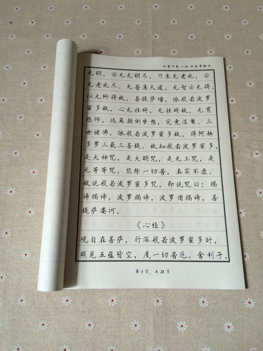 金刚经 硬笔钢笔成人古风字帖 簪花小楷瘦金体行书行楷经蕾体楷书