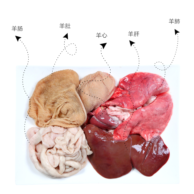 羊的内脏器官图名字图片
