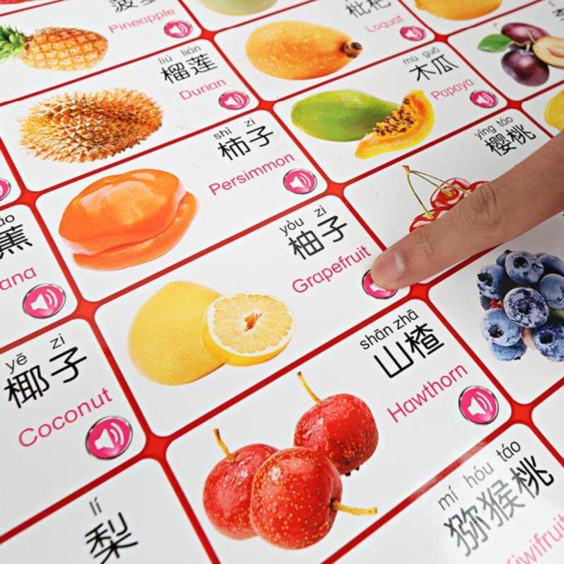 认物小孩读音小儿识字挂图水果人物两面认知玩具挂图