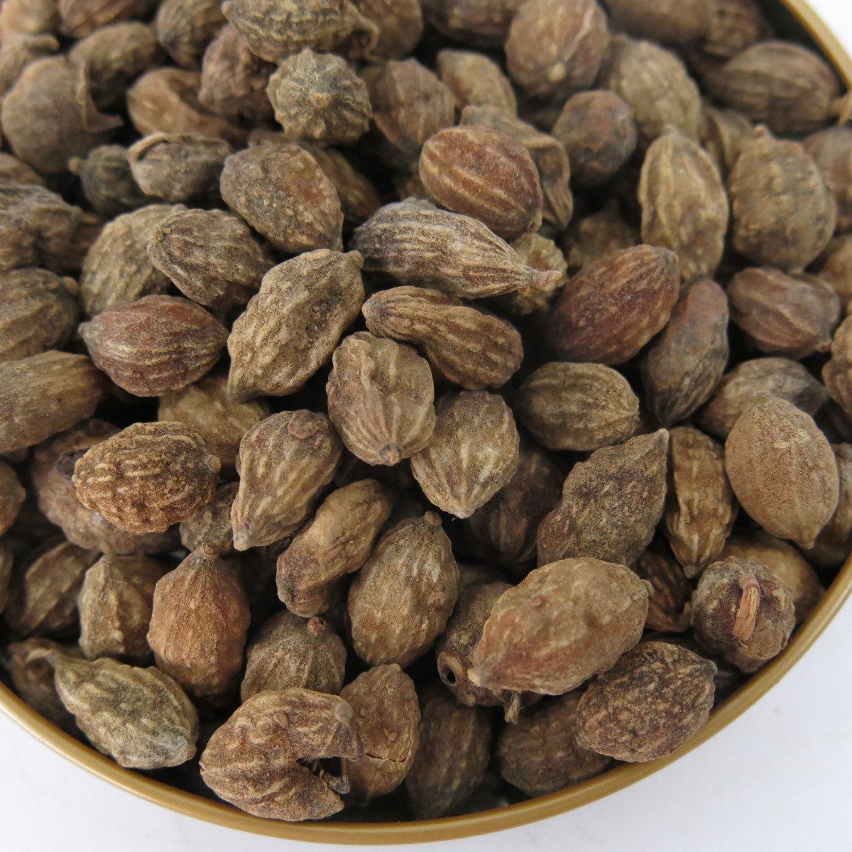 中药材 野生特级益智仁500克包邮广西益智仁 正品益智仁泡茶 新货