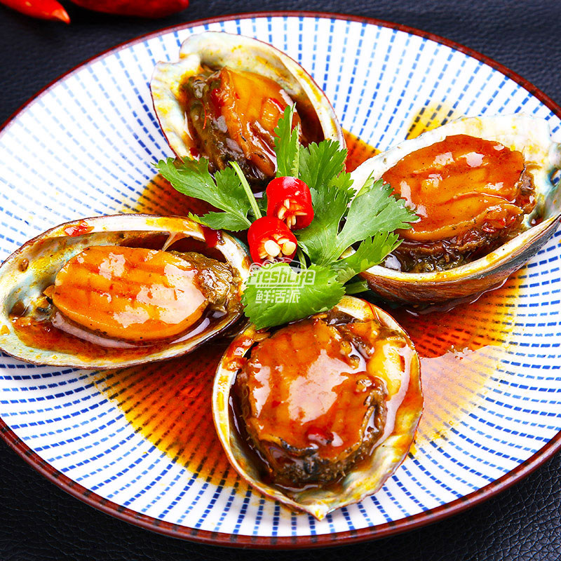 成都单只海鲜九孔鲍贝天然特级鲍鱼大连鲜活鲍鱼