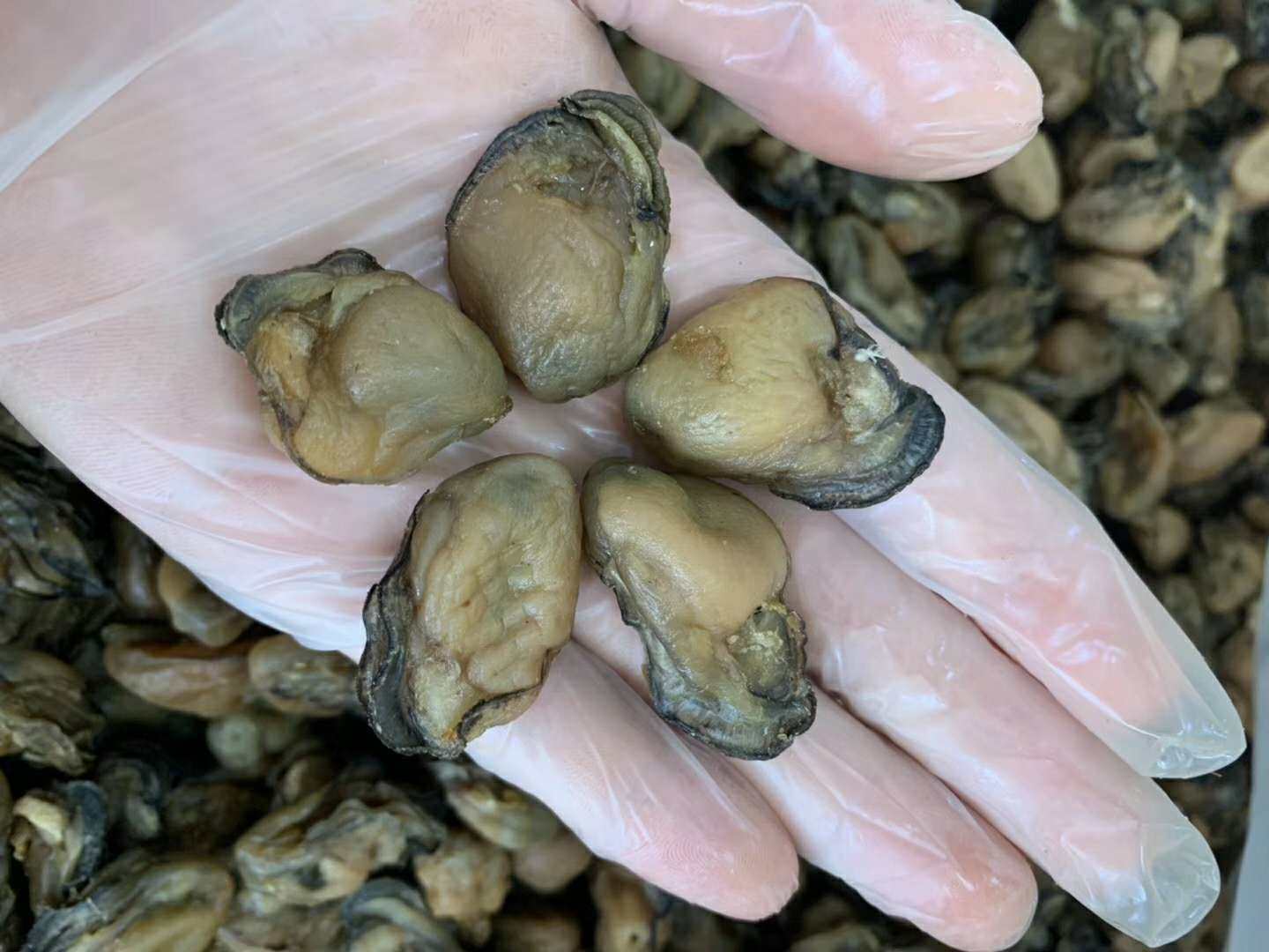 湛江特产官渡渡海野生小蚝250g海鲜干货宝宝生蚝