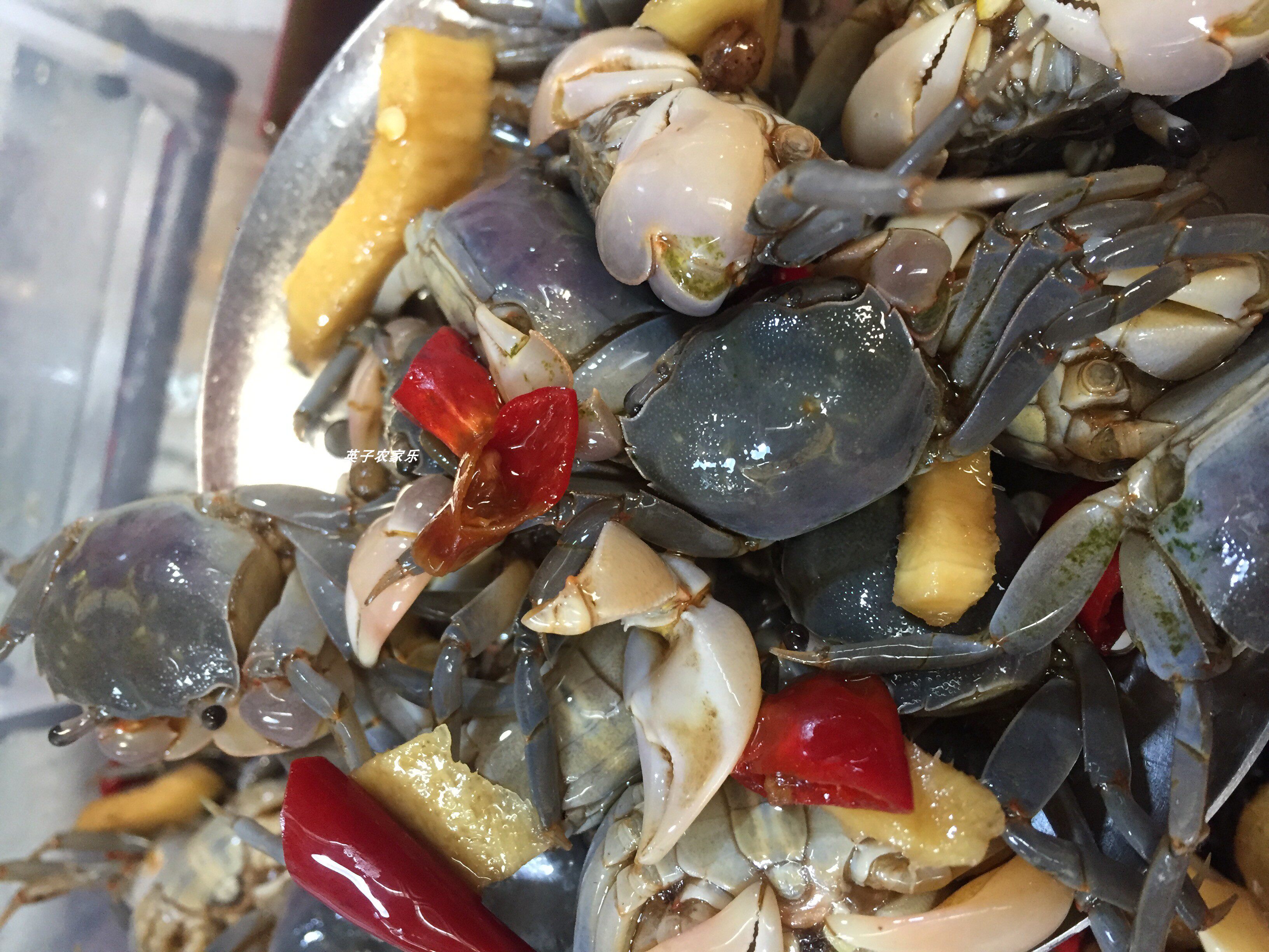 醉蟹发财蟹即罐装鲜活生呛腌制小螃蟹白玉蟹醉玉米