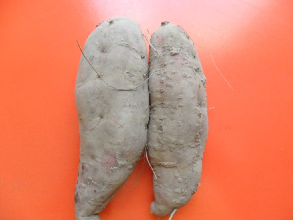 临安天目山小香5斤大号新鲜黄心红薯番薯甘薯番薯