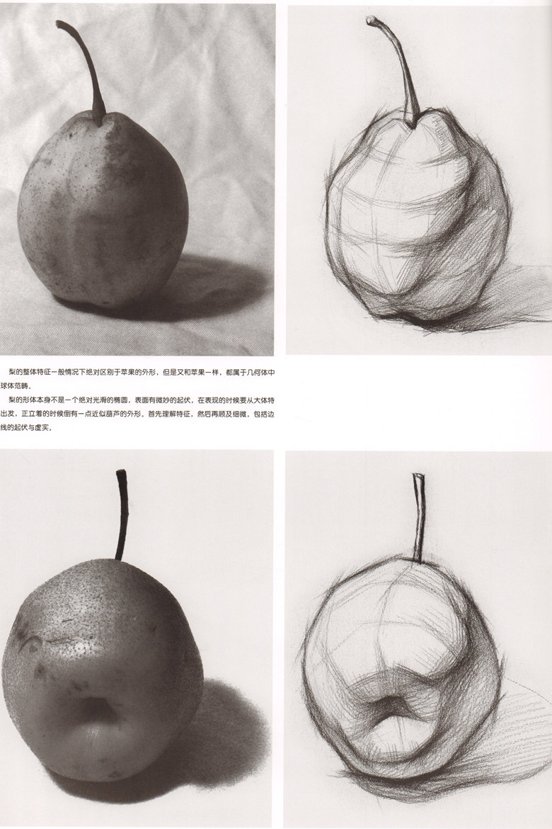 结构 熊飞素描教学系列 绘画技法基础教程 素描基础美术教材书籍 入门