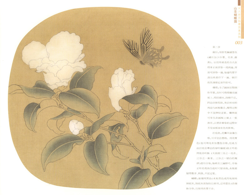 正版 宋人册页临摹范本系列 山茶蝴蝶图 金纳编绘 西南师范大学出版社