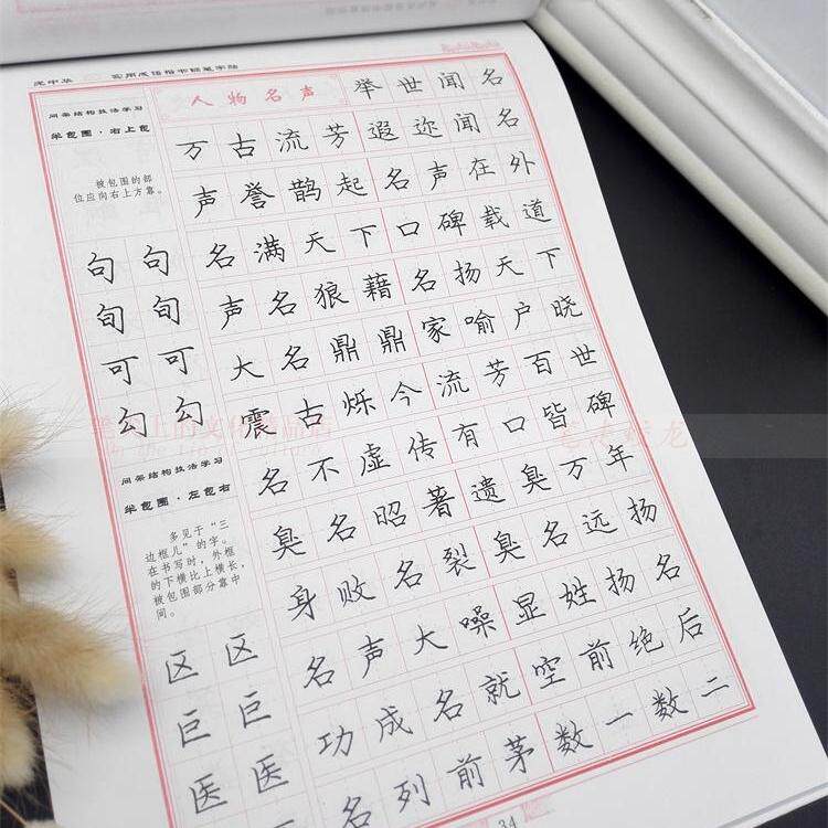 庞中华钢笔字帖 实用成语楷书字帖 成人学生练字贴
