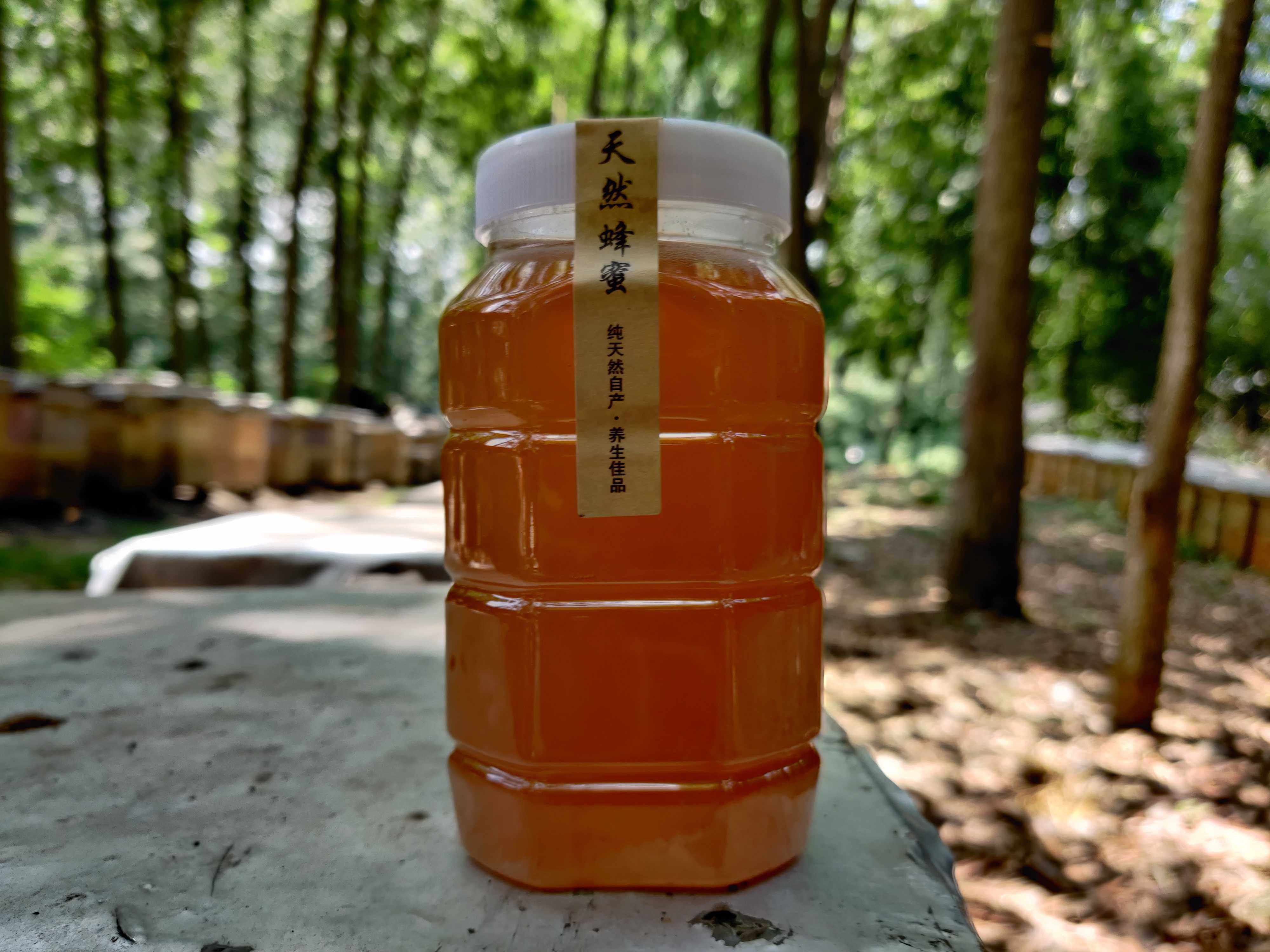 湖北农家自产土蜂蜜纯正天然荆条蜜500g液态