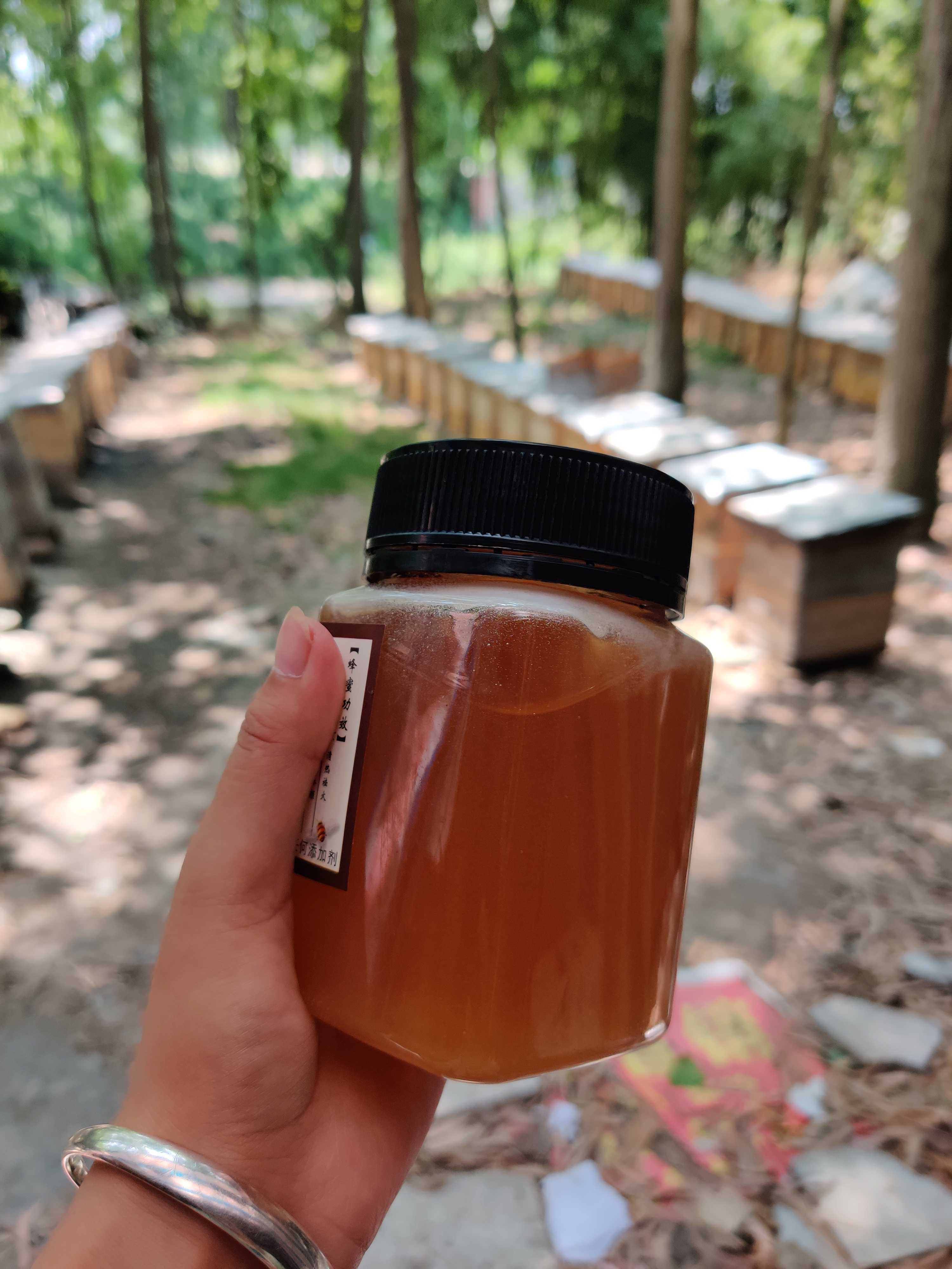 湖北农家自产土蜂蜜纯正天然荆条蜜500g液态