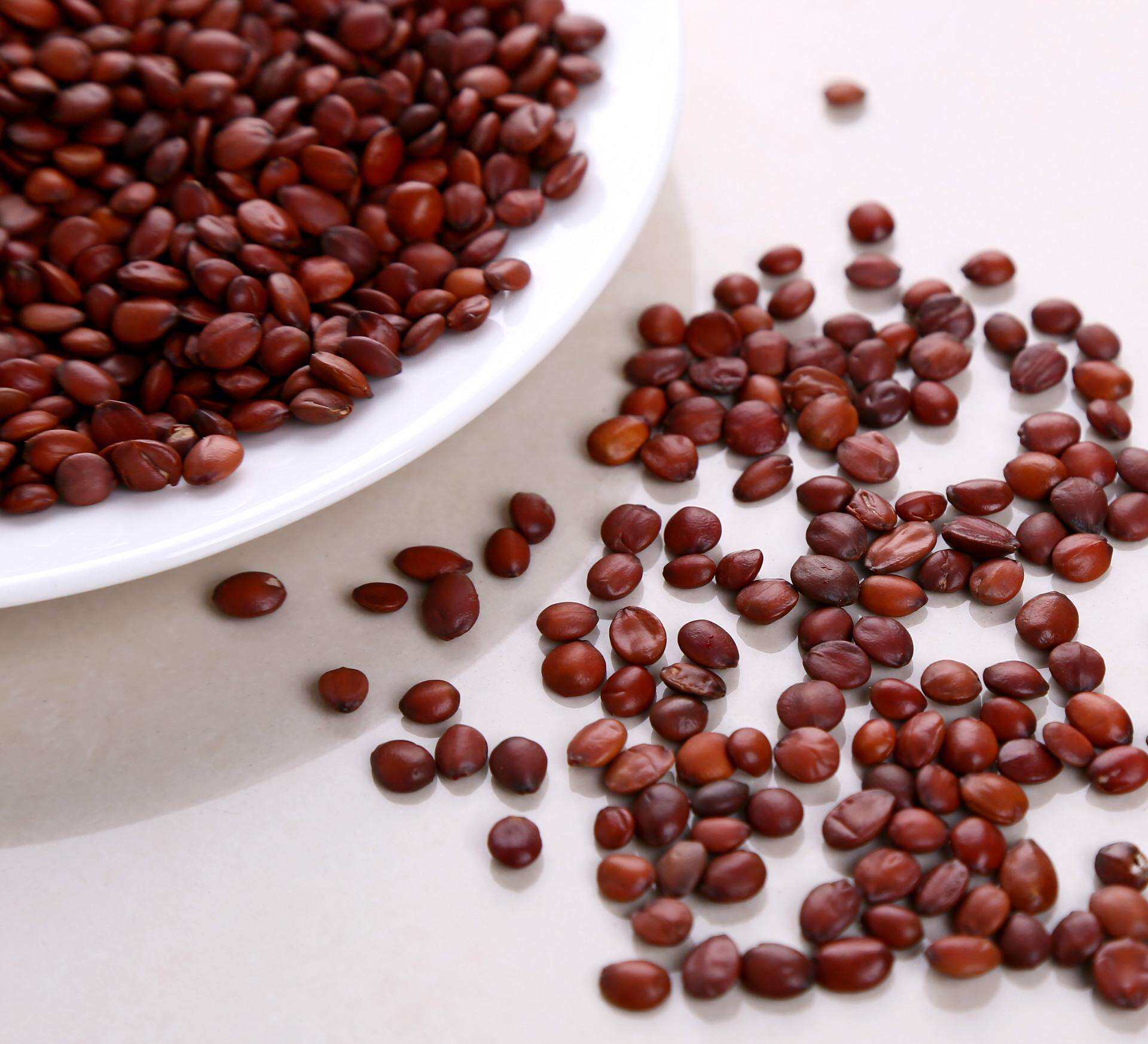 酸枣包邮正品250g克中中药材天然仁茶睡眠免费其他药食同源食品