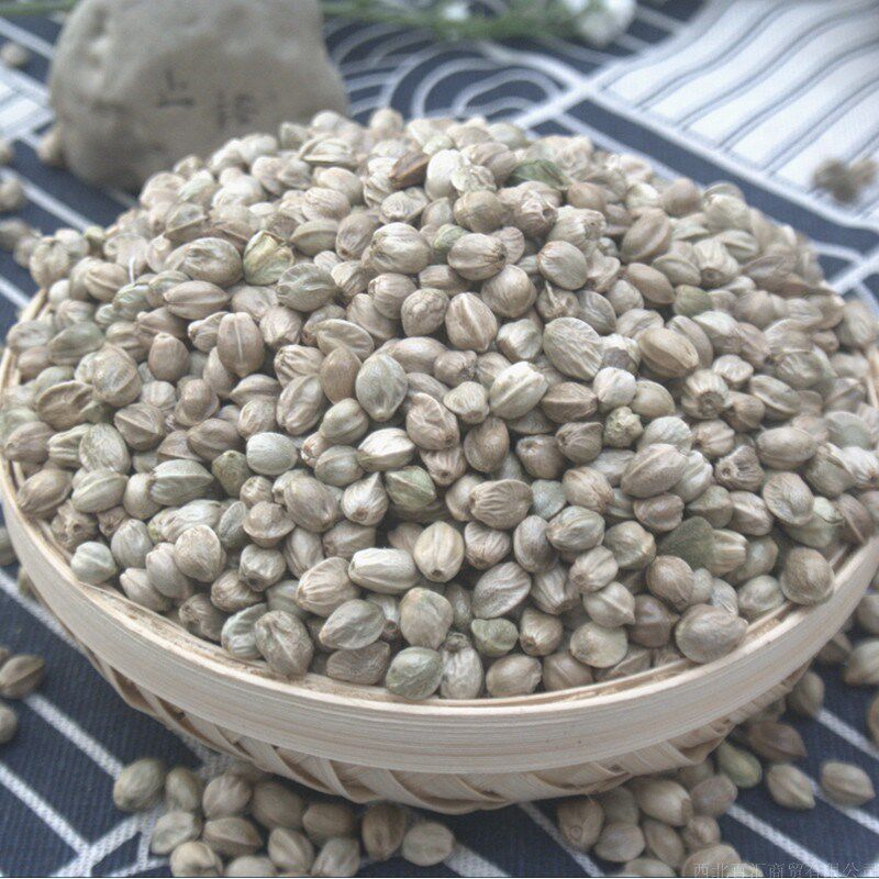 甘肃天水特产麻子包邮五香大粒现炒人吃新货火麻子生熟麻籽500g