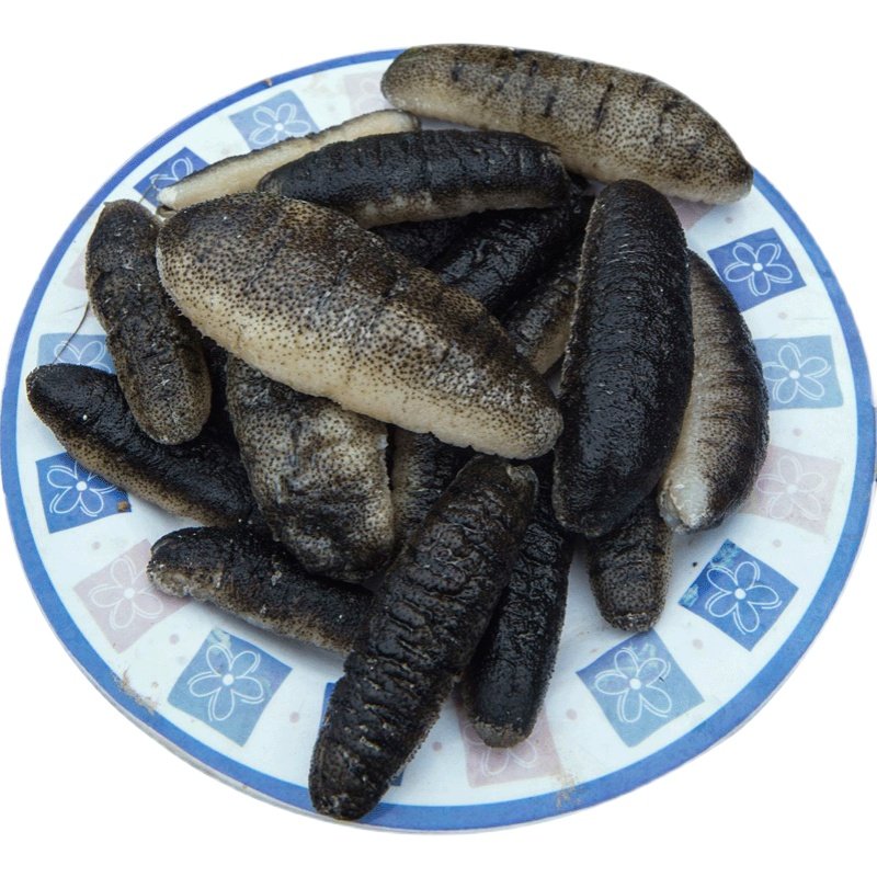 冷冻大乌参每袋500克私房海鲜水产品海参半成品江浙沪海参