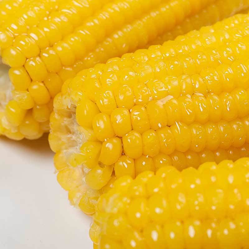 玉米香甜甜糯新黄真空东北富硒苞米棒非转基因玉米