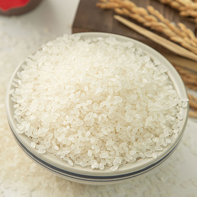 大米2020年新米上市5kg东北盘锦田地丰锦10斤大米
